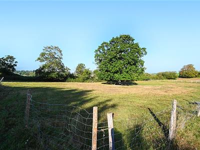 Picture 31